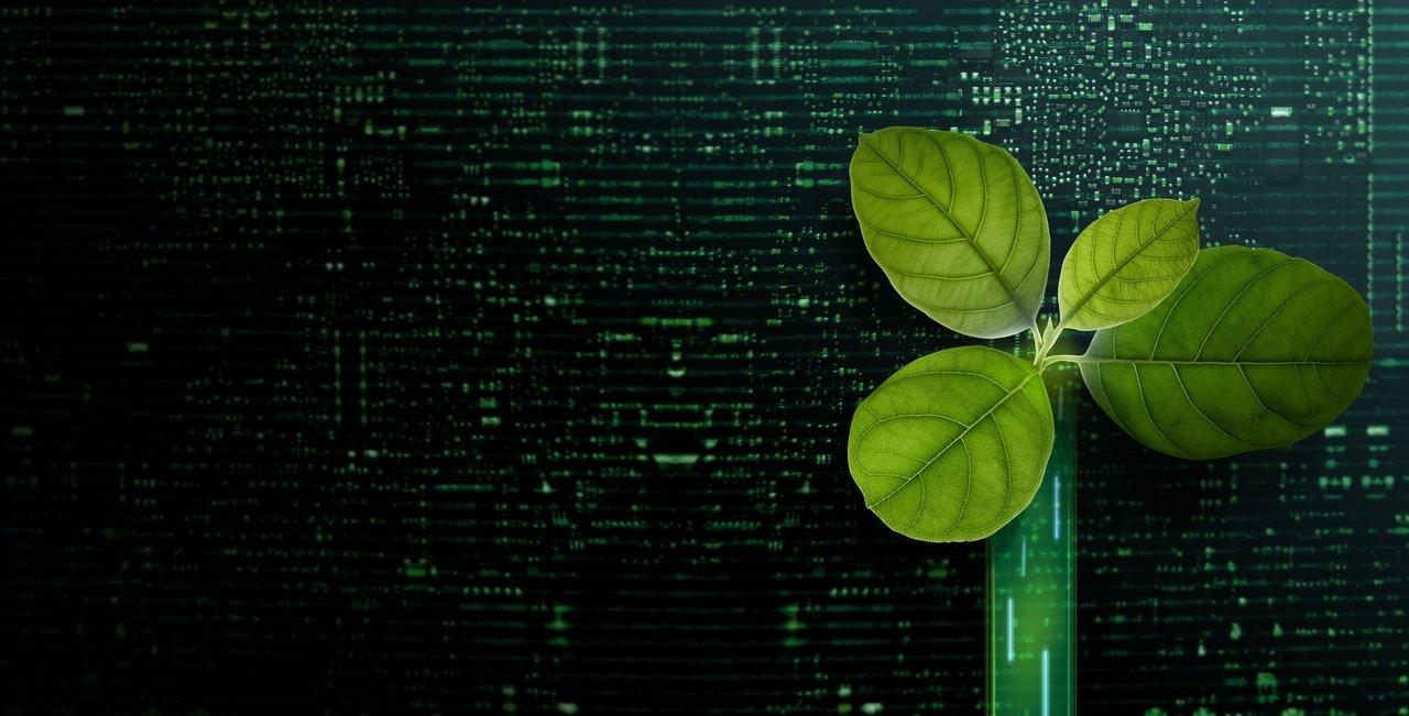 Blockchain et écologie : innovations majeures pour une crypto plus verte