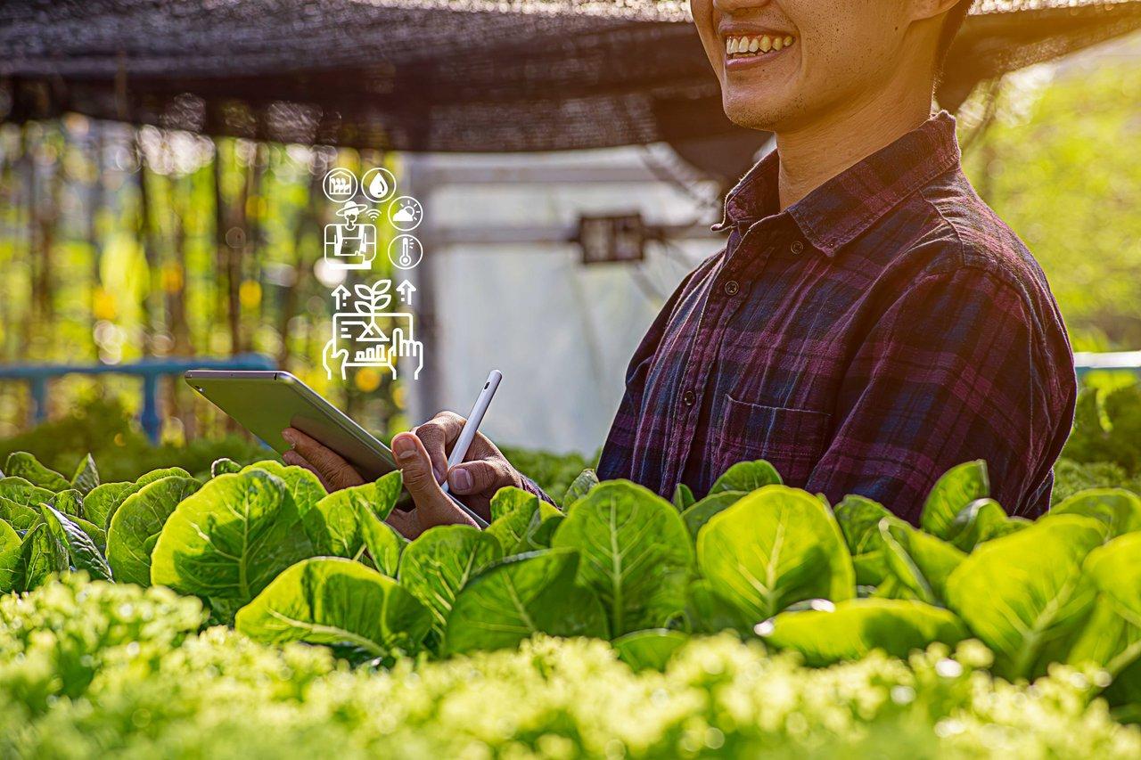 IoT et agriculture connectée : innovations clés pour une agriculture durable