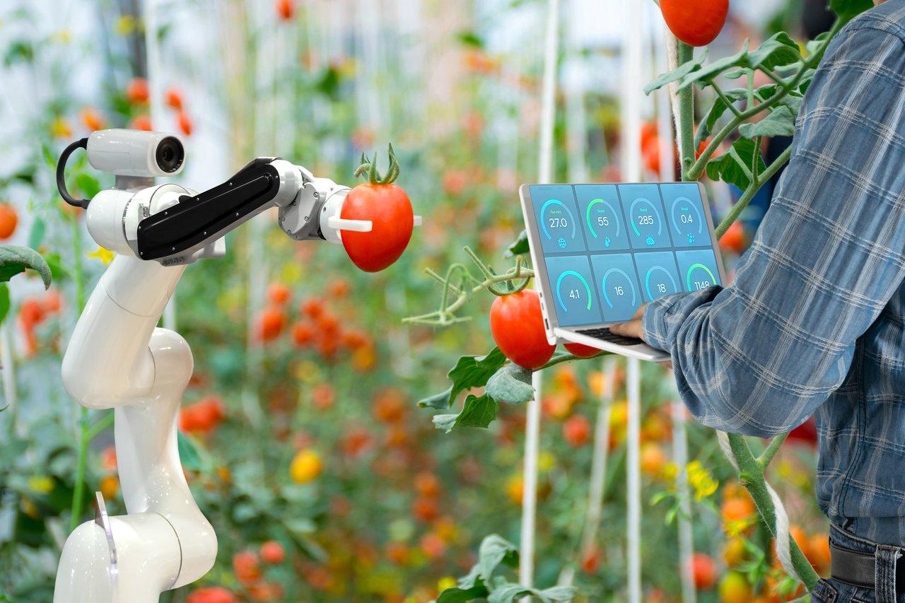Les nouvelles tendances du marché de la foodtech en 2025