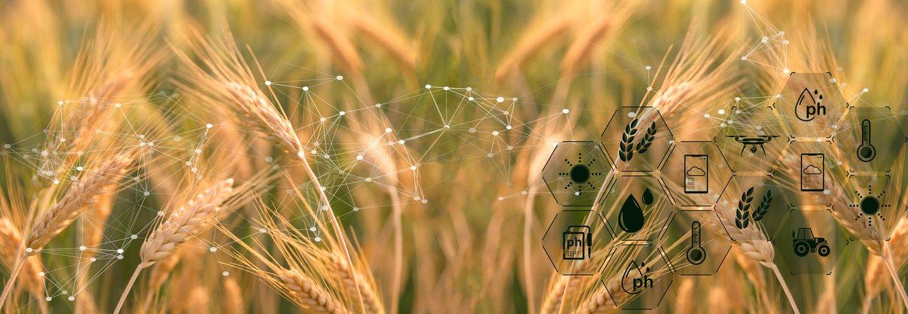 Carte de la blockchain dans la chaîne d’approvisionnement alimentaire, assurant traçabilité et réduction du gaspillage.