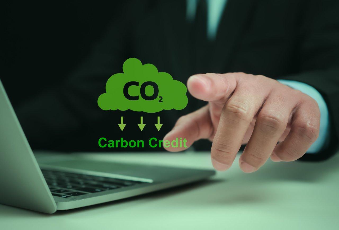 Certificats carbone tokenisés sur blockchain illustrant la transition vers des modèles écologiques durables.