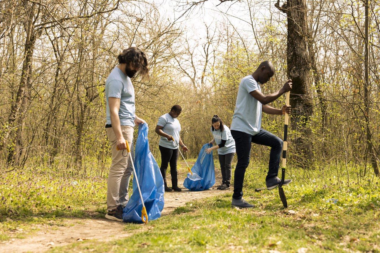 Jeunes professionnels participant à une initiative environnementale pour préserver la forêt et renforcer l'esprit d'équipe.