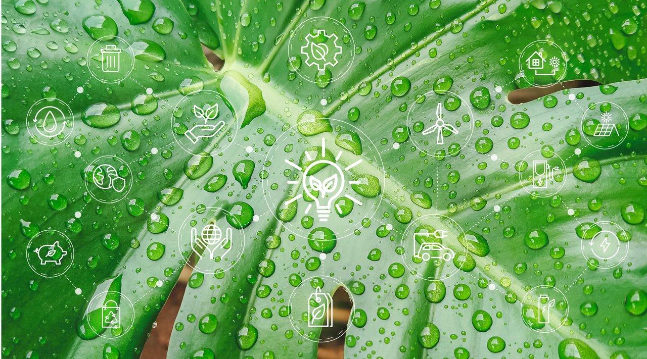 Schéma illustrant les certifications Green Tech internationales et leur conformité réglementaire selon les régions.