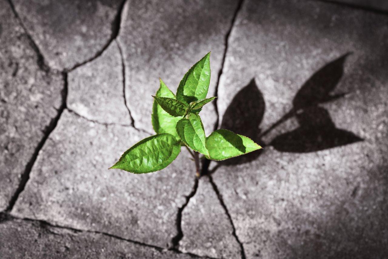 Un entrepreneur en coaching symbolise la résilience et l’accompagnement pour rebondir après un échec en startup.