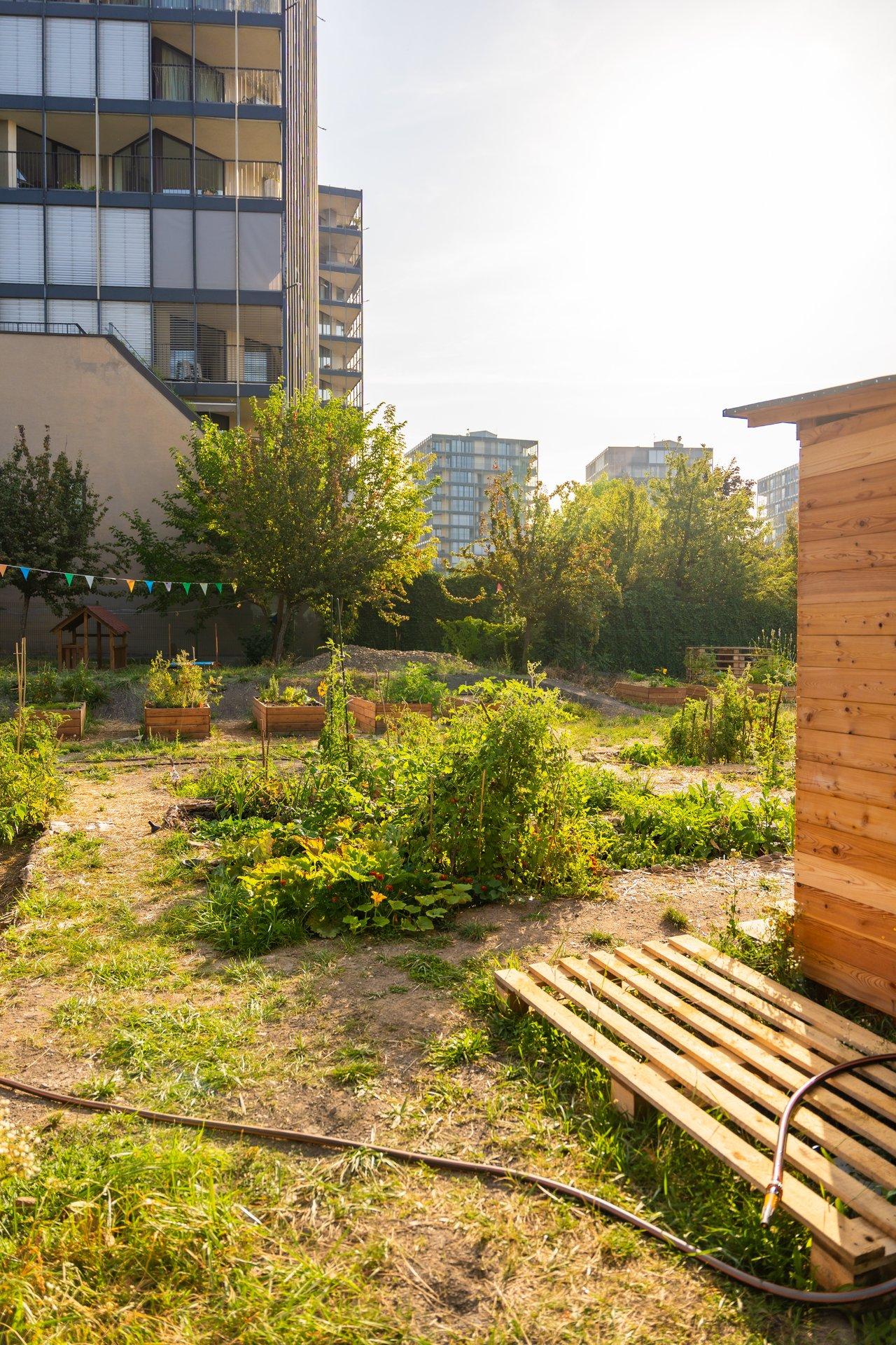 Un exemple d'infrastructure verte urbaine : jardin communautaire en Zizkov, Prague, intégrant des espaces durables et écologiques.