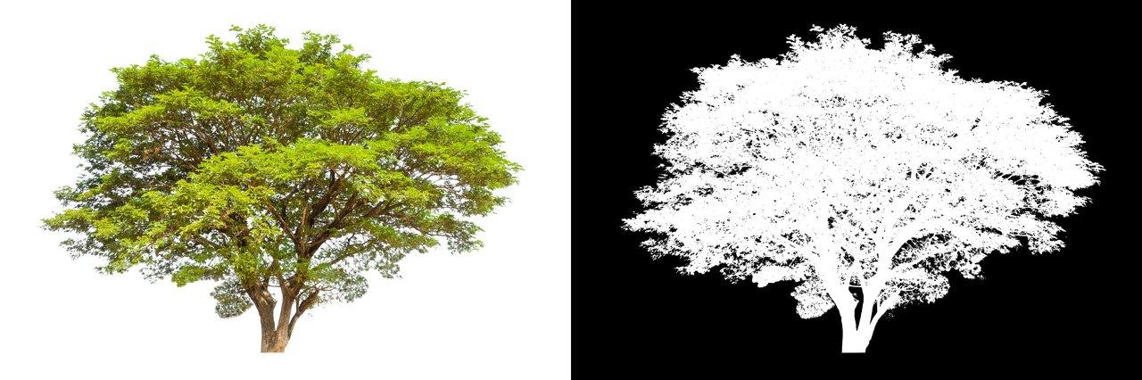 Visualisation claire d’un arbre de décision en IA illustrant la transparence et la fiabilité des algorithmes décisionnels.